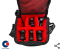 SET Q10TX 4+1
