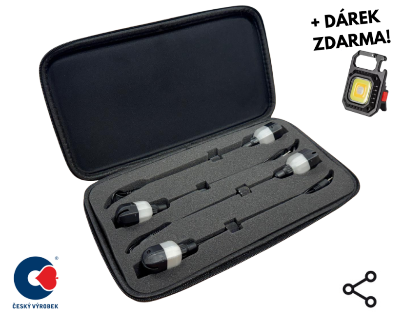 Set of 4 swingers + case