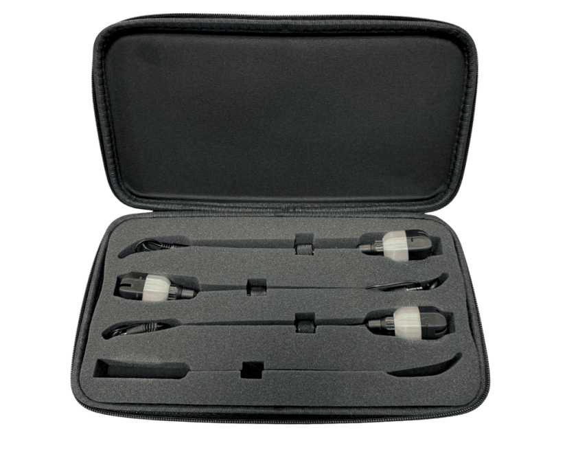 Set of 3 swingers + case