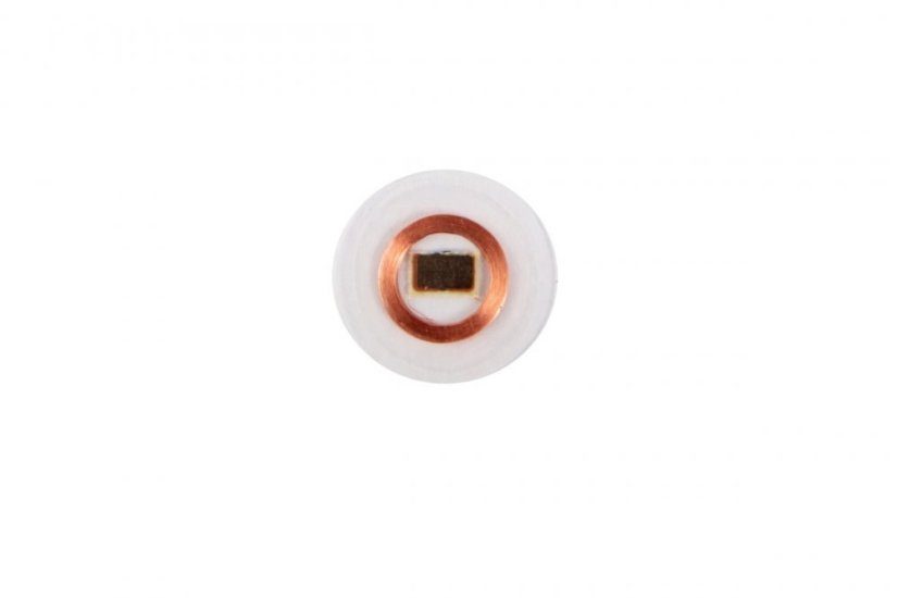 RFID transparent chip